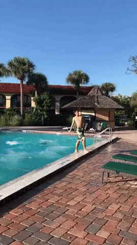 Squad Jumping In Pool Reverse Effect GIF