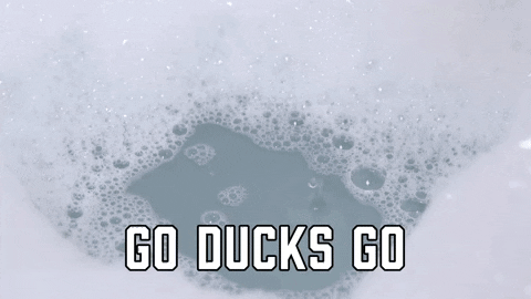 Squeaky Toy Duck Floating Meme GIF