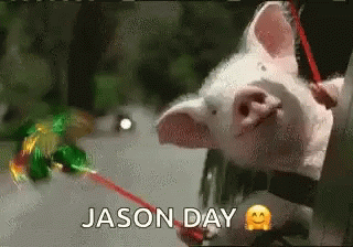 Squeal Like A Pig Jason Day GIF