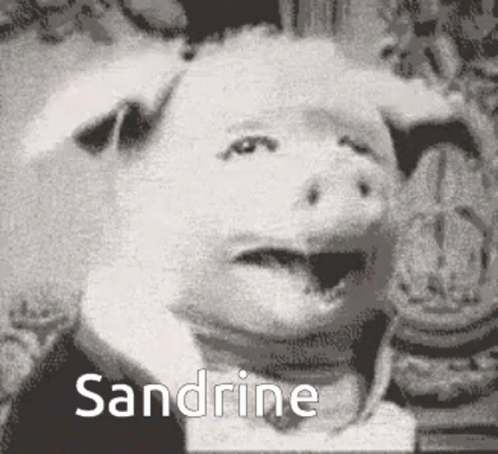 Squeal Like A Pig Sandrine GIF