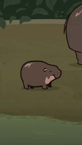 Squeeky Moo Deng Gif GIF