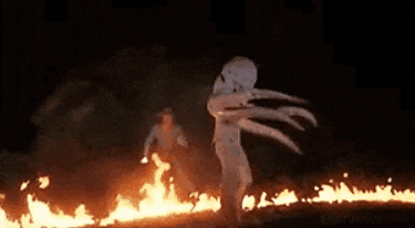 Squid Funny Costume GIF