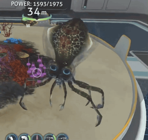 Squid with 34m Power
