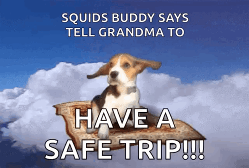 Squids Buddy Says Tell Grandma To Have A Safe Trip ! GIF