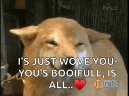 Squinting Funny Dog Meme GIF