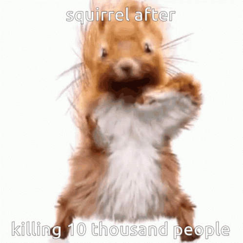 Squirrel After Killing 10 Thousand People
