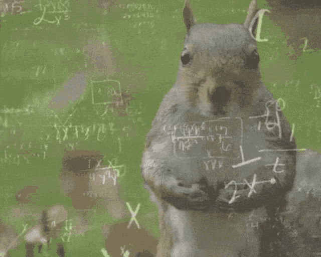 Squirrel Brain Math Calculation GIF
