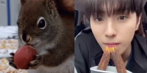 Squirrel Eating Strawberry Next to Man Eating Churros