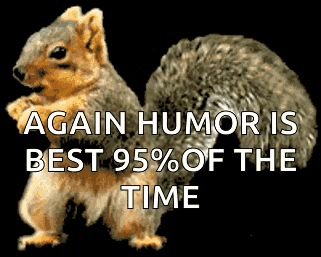 Squirrel Funny Gif GIF