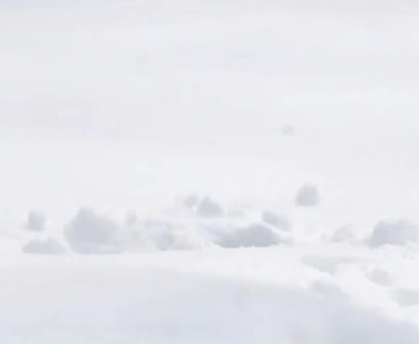 Squirrel Hide In Snow GIF