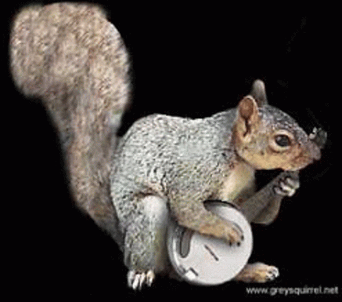 Squirrel Holding Banjo Smoking Cigarette