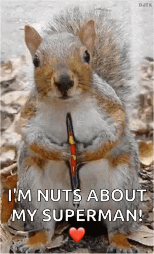 Squirrel Holding Bow and Arrow