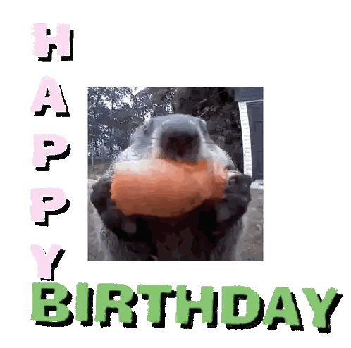 Squirrel Holding Carrot Birthday Card