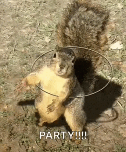 Squirrel Holding Hula Hoop Around Neck Standing on Hind Legs