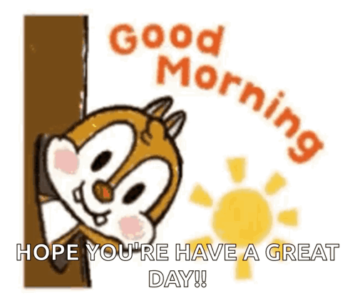 Squirrel Hope You're Have A Great Day GIF