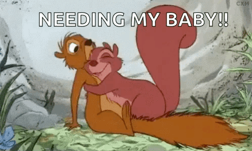 Squirrel Hugging Another Squirrel Saying Needing My Baby