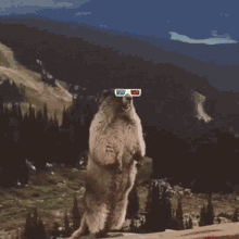 Squirrel in 3D Glasses by Pimp Sign