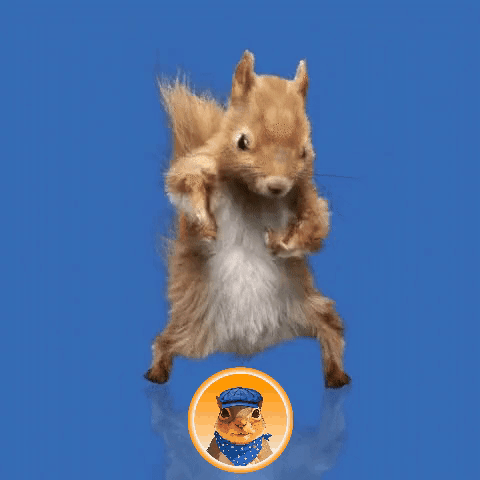 Squirrel in Blue Hat and Polka Dot Bandana