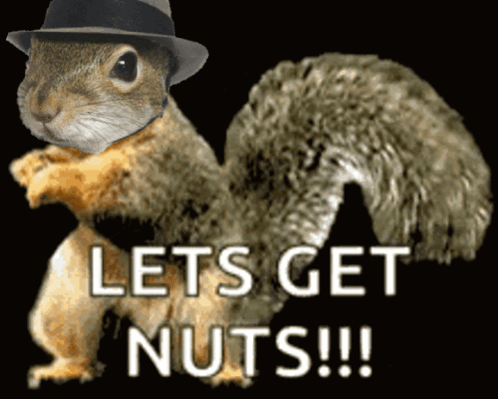 Squirrel in Fedora Says Let's Get Nuts
