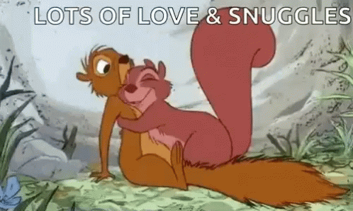 Squirrel Lots Of Love And Snuggles GIF