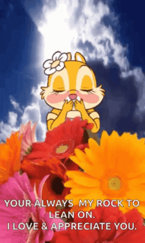 Squirrel Love Appreciation GIF