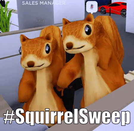 Squirrel Meme Sweep GIF