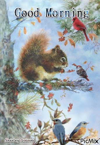 Squirrel on Tree Branch With Birds Good Morning