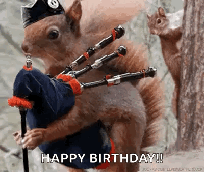 Squirrel Playing Bagpipe in Forest While Another Watches