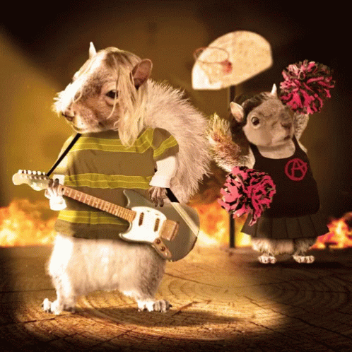 Squirrel Playing Guitar and Cheerleader With Pom Poms