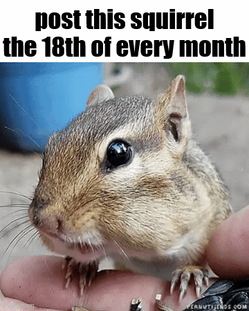 Squirrel Post This Squirrel 18th of Every Month