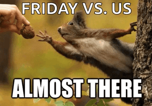 Squirrel Reaching for Nut Friday vs Us Almost There