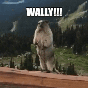 Squirrel Shouting Wally Meme GIF