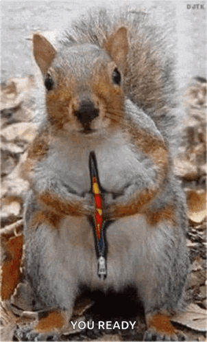 Squirrel Sitting with Zipper Out