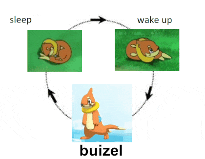 Squirrel Sleeping and Waking Up