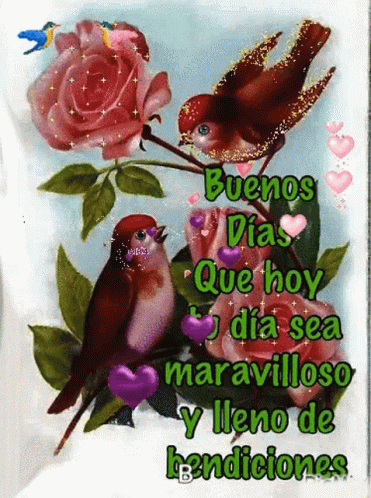 Squirrel Smelling Flower Saying About God GIF