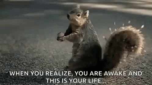 Squirrel Standing on Hind Legs Holding Nut