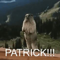 Squirrel Standing on Hind Legs Saying Patrick