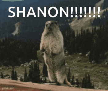Squirrel Standing on Hind Legs Shanon