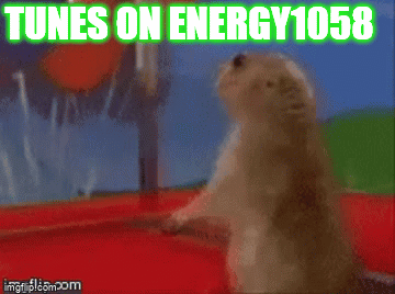 Squirrel Standing With Tunes On Energy 1068 GIF