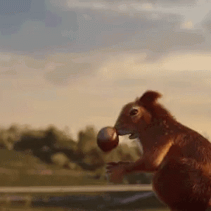 Squirrel Tried Catching Acorn GIF
