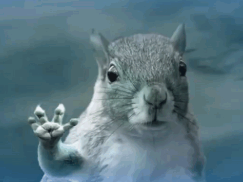 Squirrel Waving Paw
