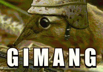 Squirrel Wearing Helmet Holding Gun Giman-G GIF