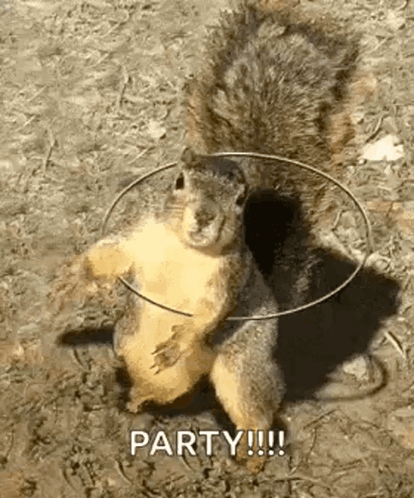 Squirrel Wearing Hula Hoop