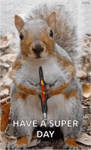Squirrel Wearing Leash Saying Have a Super Day