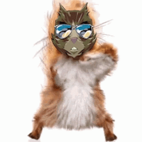 Squirrel Wearing Sunglasses and Mask Standing