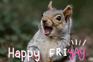 Squirrel With Open Mouth Happy Friday