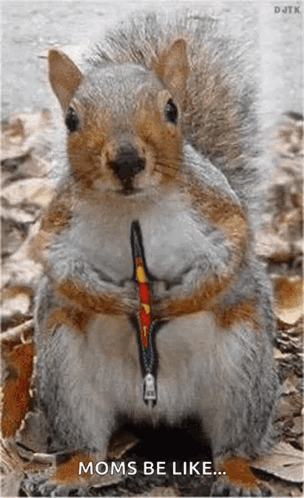 Squirrel With Zipper Neck Says Moms Be Like