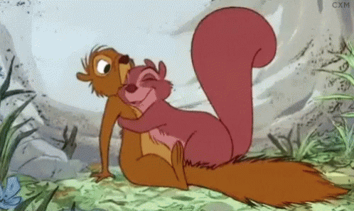 Squirrels Hugging in Cartoon