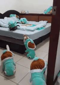 Squirtle Squad Dog Costumes GIF