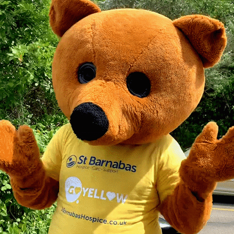 St Barnabas Hospice Mascot Bear Waving GIF